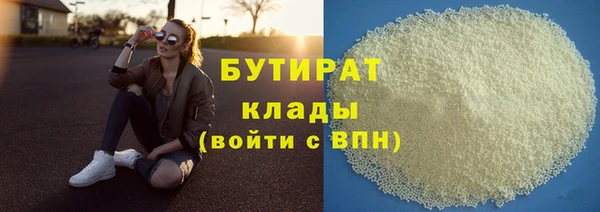 индика Дмитровск