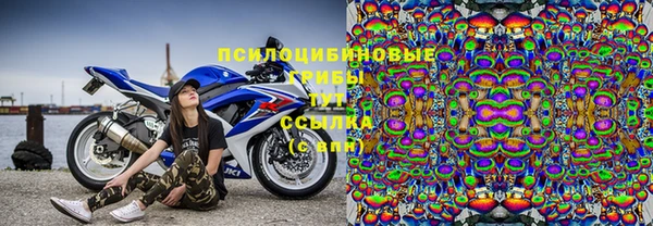 твердый Дмитриев