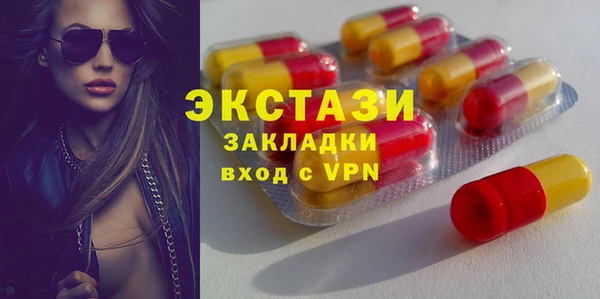 индика Дмитровск