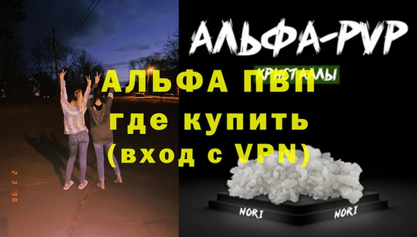 индика Дмитровск