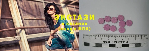 индика Дмитровск