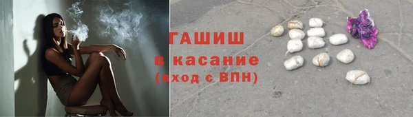 индика Дмитровск