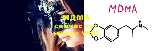 индика Дмитровск