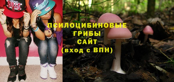 мяу мяу мука Дмитров