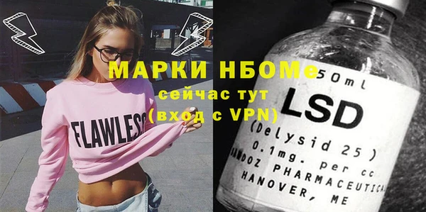 индика Дмитровск