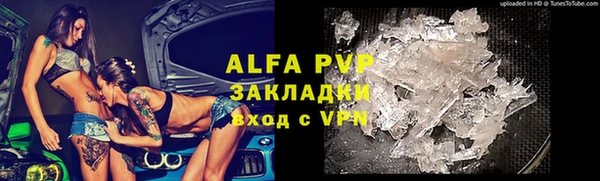 индика Дмитровск