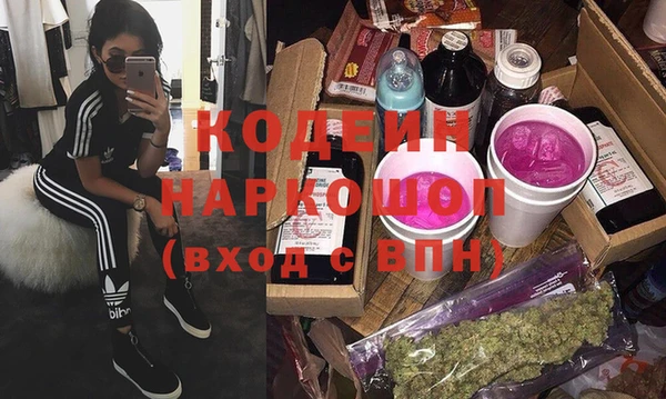 индика Дмитровск