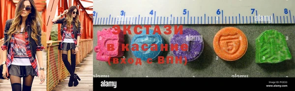 индика Дмитровск